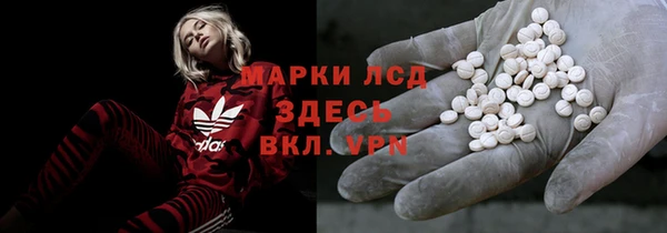apvp Алексин