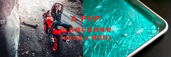 apvp Алексин