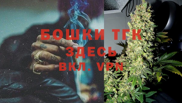 apvp Алексин